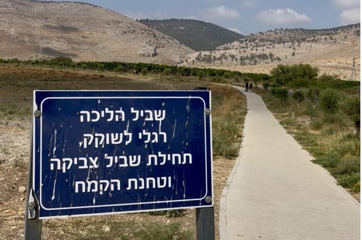 עין שוקק