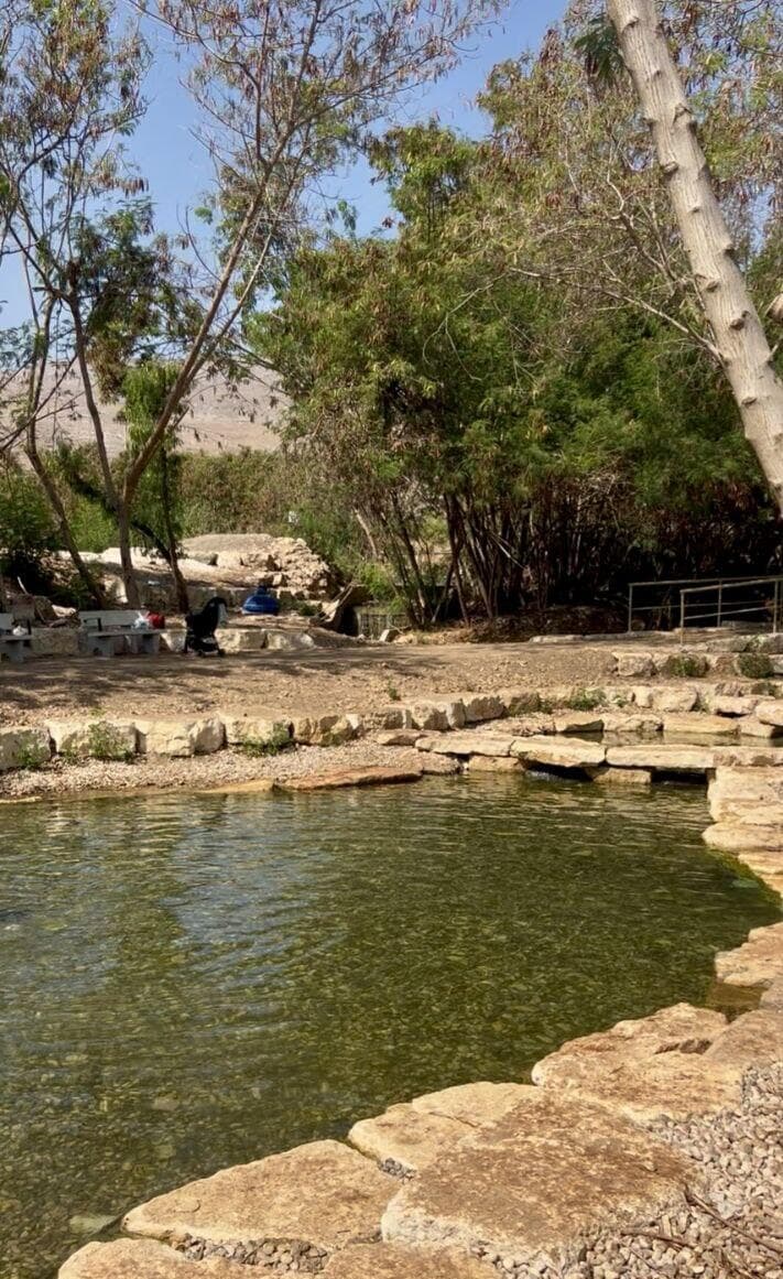 עין שוקק