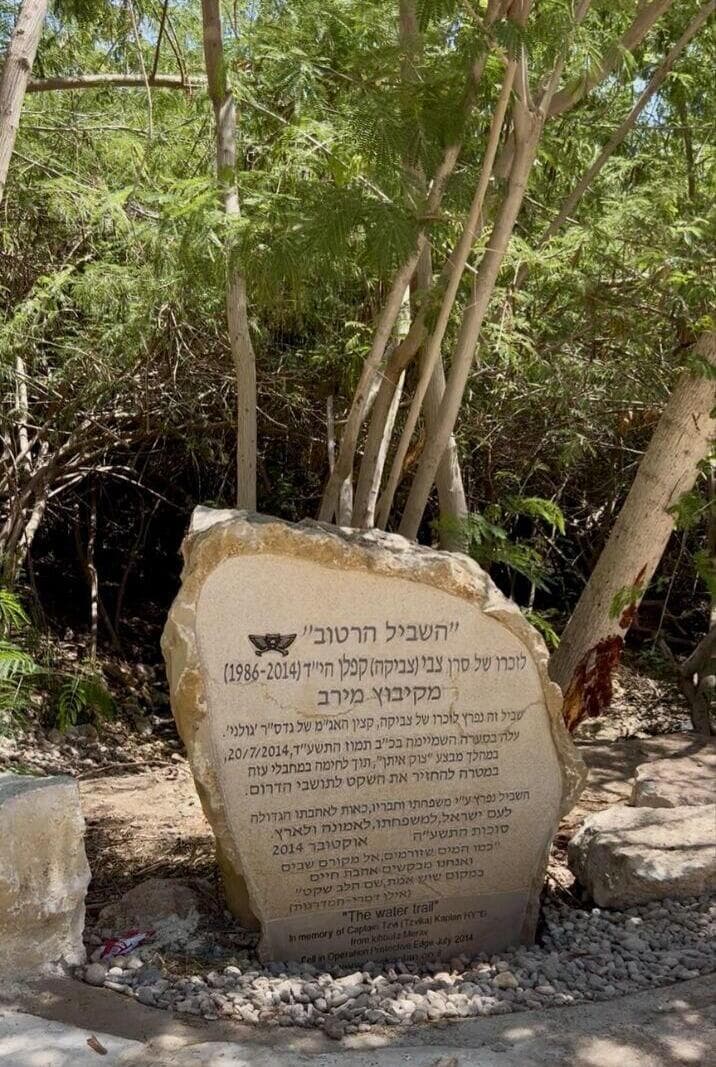 עין שוקק