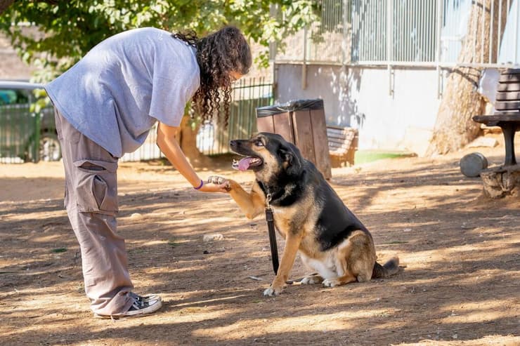 מארס (צילום: רבקה מזרחי) מארס