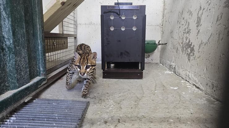 דיירת חדשה בחי פארק