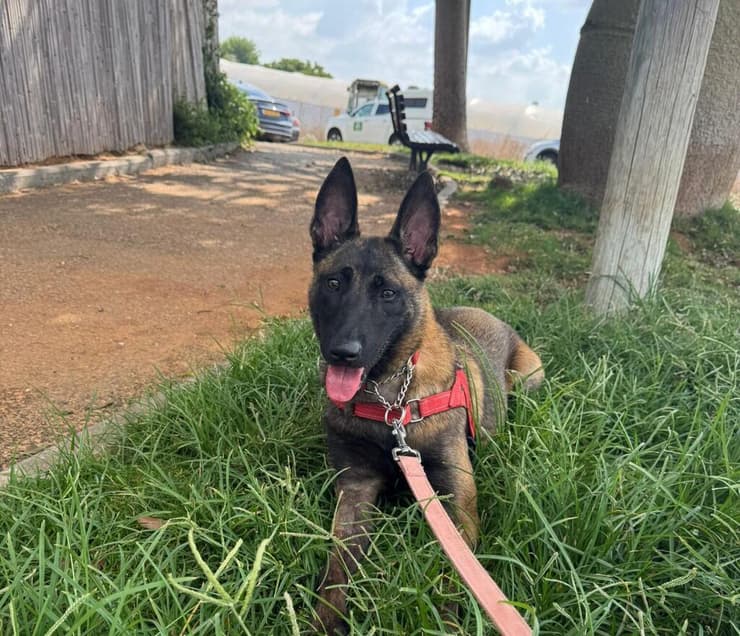 תמי (צילום: עמותת חבר לי) תמי