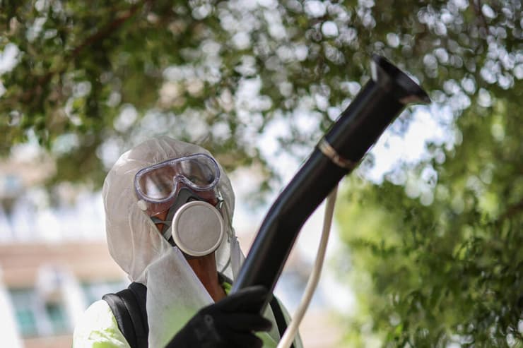 ריסוס הדברה בדיור ציבורי בהונג קונג, בעקבות מקרים של צ'יקונגוניה 