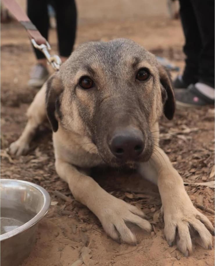 סנטה מריה ( צילום: אביב פרופסורסקי) סנטה מריה