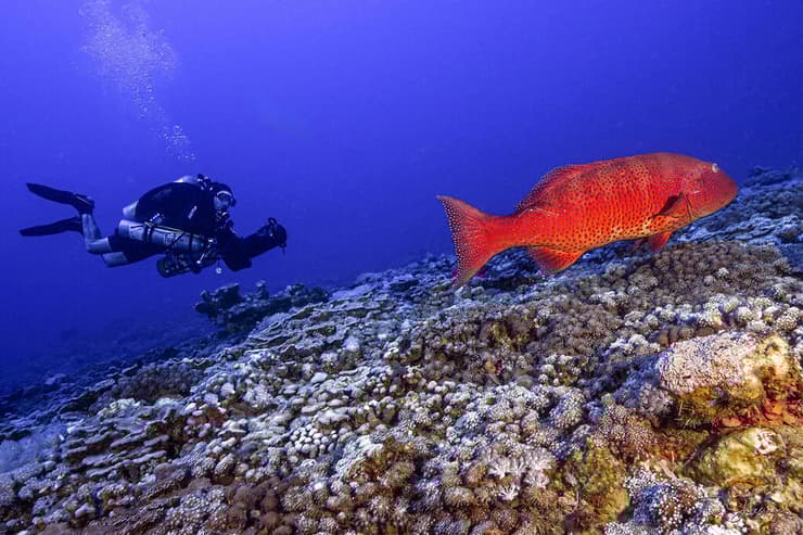 מראה מרהיב במפרץ אילת