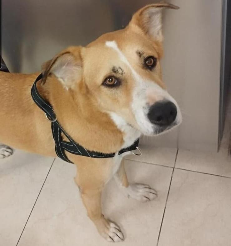 יולי (צילום: עמותת חבר לי) יולי