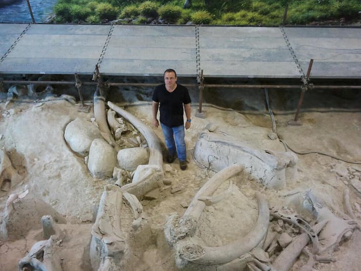 רן ברקאי בין שרידי פילים קדומים באתר הפלאוליתי לה פולדררה ליד רומא שבאיטליה. באדיבות רן ברקאי ופרויקט המחקר במערת קסם