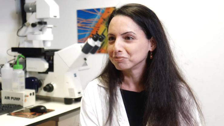 מכללת בראודה בכרמיאל