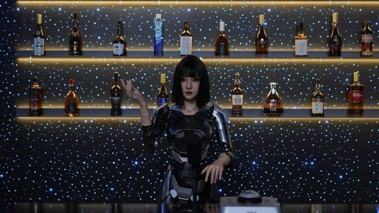 חנות הרובוטים הסינית 