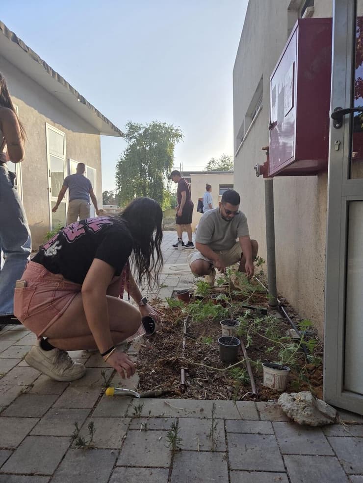 שותלים צמחי תבלין שמשמשים את בעלי החיים המאושפזים   