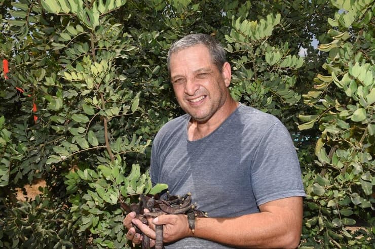 שי גולני מחזיק כמה חרובים