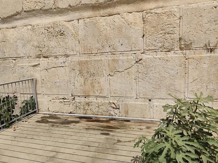 האבנים לאחר הניקוי