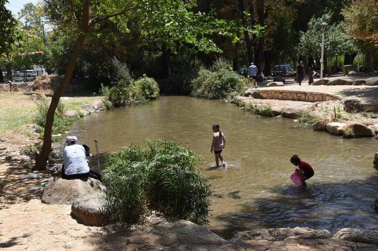 נחל עין זהב