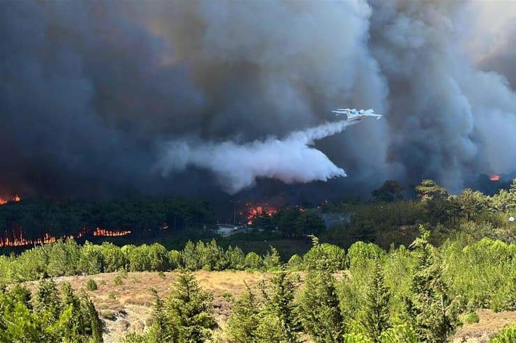 טורקיה שריפה שריפת יער מחוז צ'נקלה