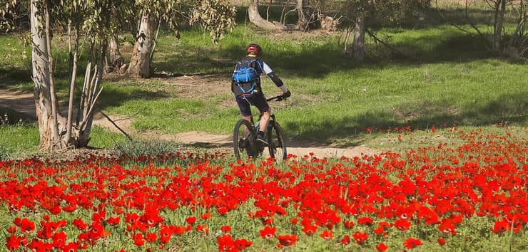מסלולי בארי-שוקדה, לאורם של אברומי דויטש ונעה זאבי שנפצעו בקרב ובתהליכי שיקום