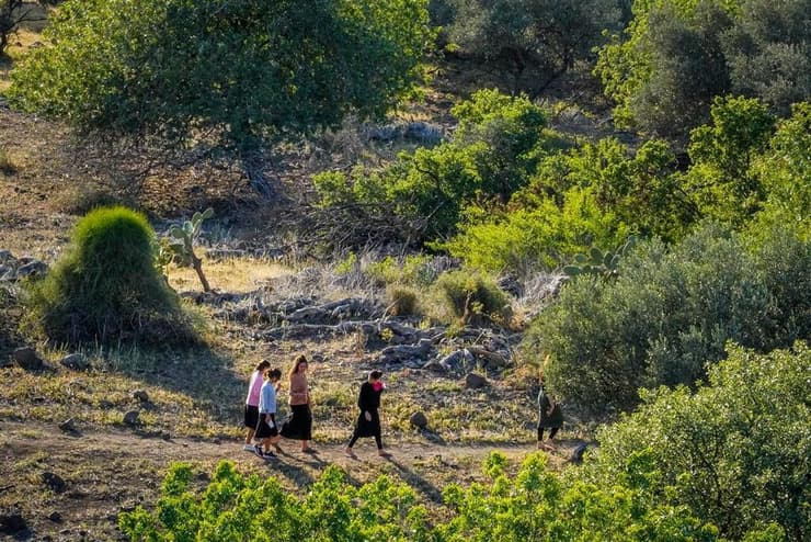 שביל הבוסתנים ברמת הגולן לזכרם של האחים נועם וישי סלוטקי