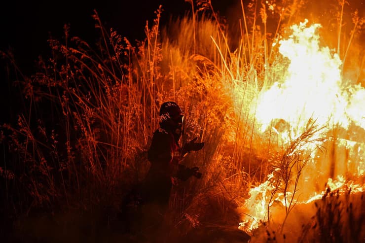 פורטוגל שריפה שריפת יער