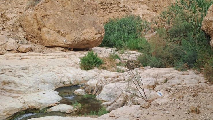 נחל ערוגות לאחר השיקום