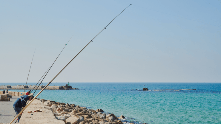 פרוייקט D Point שיכון ובינוי נדל"ן