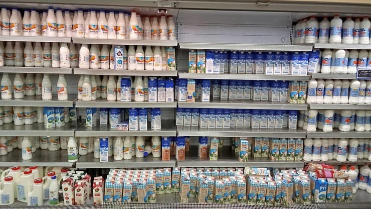 מוצרי חלב מוצרי חלב