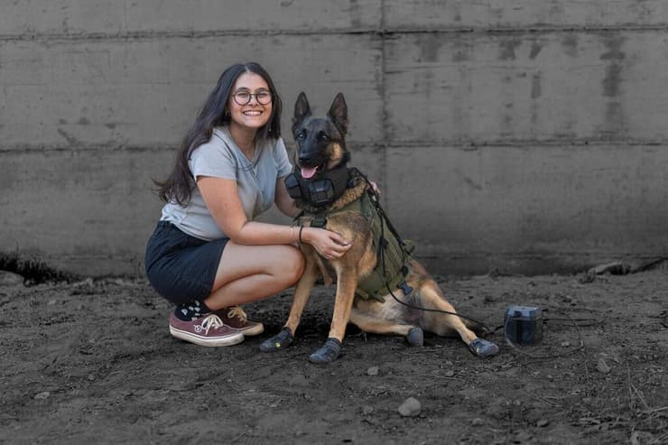 נועה יוסיפון וכלב עם מערכת הקירור (צילום: סער שוורץ, HIT) קירור לכלבי עוקץ