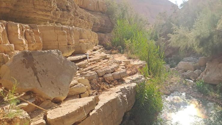 נחל ערוגות לאחר השיקום