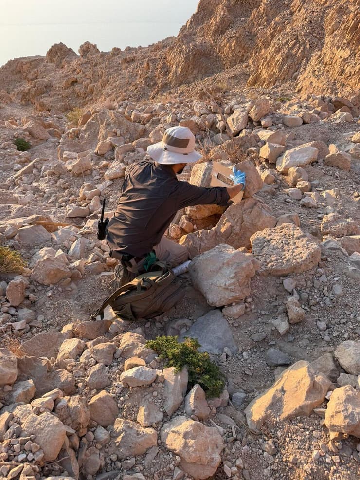 העבודות לשיקום נחל ערוגות