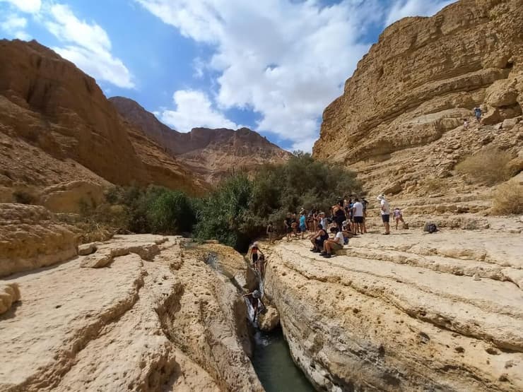 נחל ערוגות לפני השיטפון