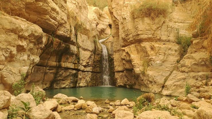 נחל ערוגות לאחר השיקום