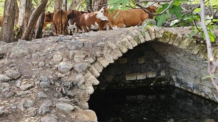 כפר עין פית המקום בו יקים צה"ל מתקן צבאי שיהרוס את שמורת ה טבע
