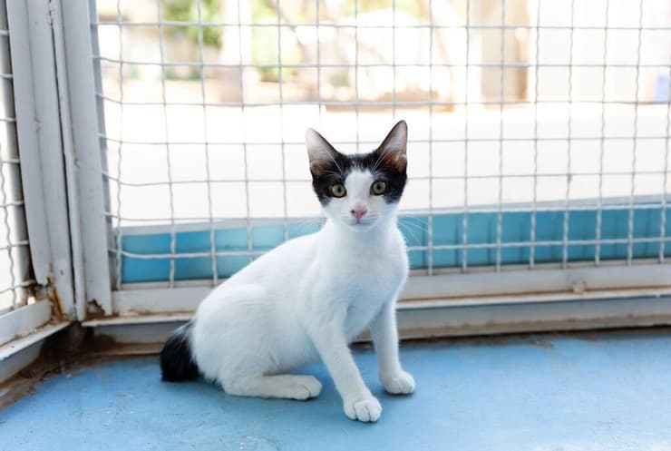 ברלין (צילום: מיכל פרנקל אלרואי) ברלין