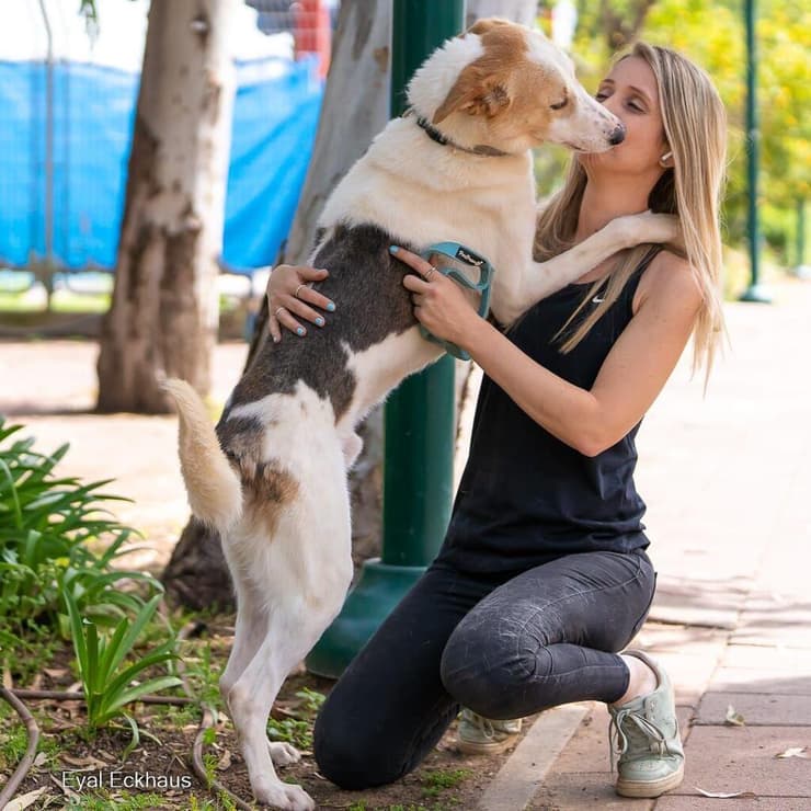 ג'וני (צילום: אייל אקהאוס) ג'וני
