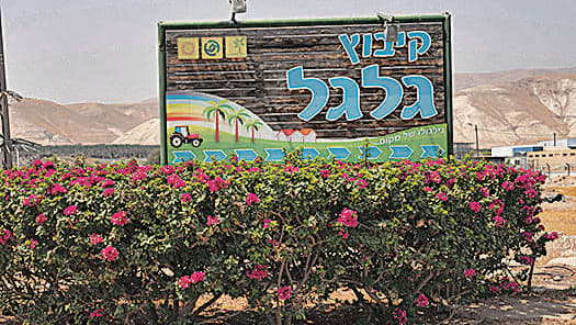 הכניסה לקיבוץ. כמו פלנצ'ה עצומה (יובל חן) הכניסה לקיבוץ. כמו פלנצ'ה עצומה