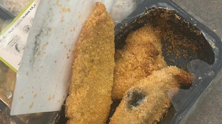 אוכל עם עובש לחיילות בבסיס סיירים