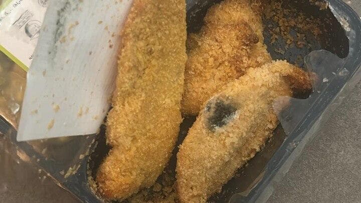 אוכל עם עובש לחיילות בבסיס סיירים