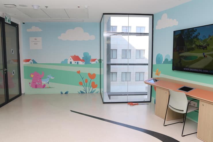 בין פרחים כתומים לפרפרים צבעוניים - ישנה גם בובת הפיל הוורוד של כפיר  