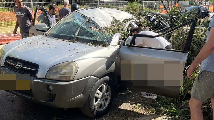 קריסת עץ ברחוב עמק רפאים בירושלים 