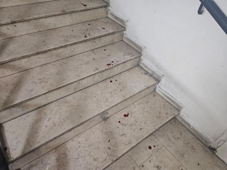 אדוארדו בולסונרו 