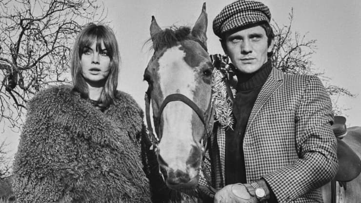 טרנס סטמפ וג'ין שרימפטון