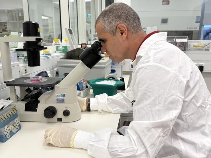גידול חוט שדרה במעבדה. עכשיו זה כבר אפשרי. פרופ' טל דביר במעבדה (צילום: מטריסלף) פרופ' טל דביר השתלת חוט שדרה