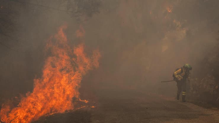 לוחמי לוחמים כבאי כבאים ספרד גליציה לוגו סן מרטינו שריפה שריפות יער משבר שינוי האקלים גל מכת חום מאמצי הכיבוי אירופה