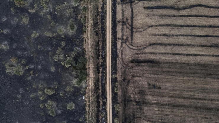 ספרד עיירה אסטרוגה לוגו שריפה שריפות יער נזק נזקים חורשה משבר שינוי האקלים גל מכת חום אירופה עשן