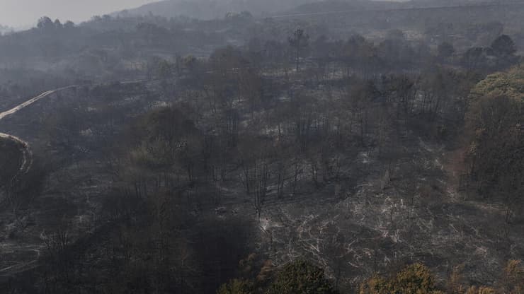 ספרד גליציה לוגו שריפה שריפות יער נזק נזקים חורשה משבר שינוי האקלים גל מכת חום אירופה עשן