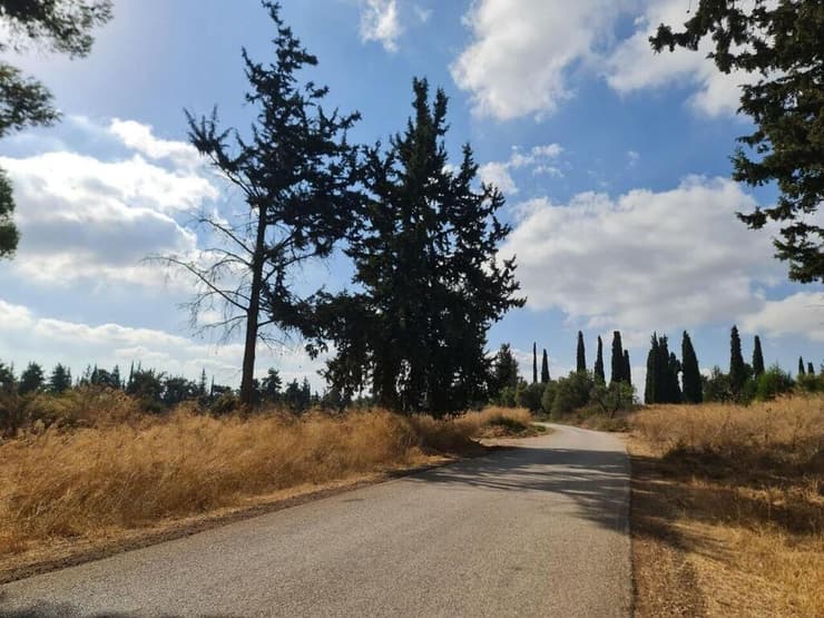 חשש מפגיעה בטבע. אזור יער בן שמן