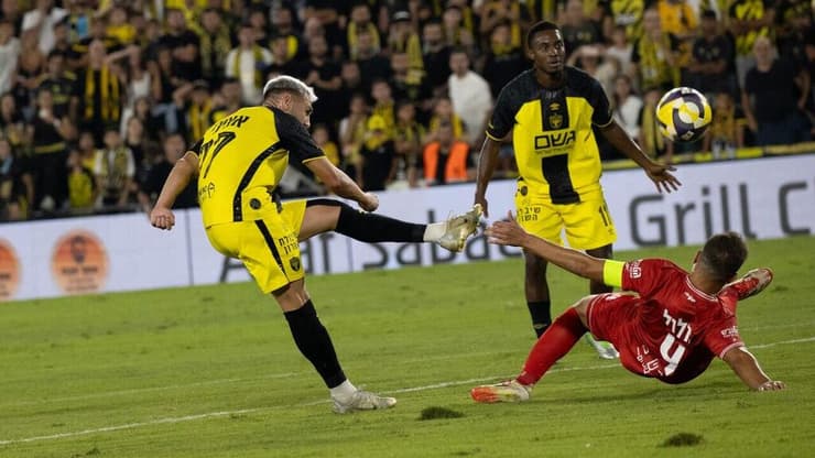 אצילי ( צילום: אלכס קולומויסקי) אצילי