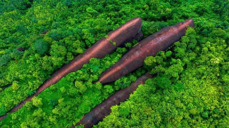 בצורת לווייתנים