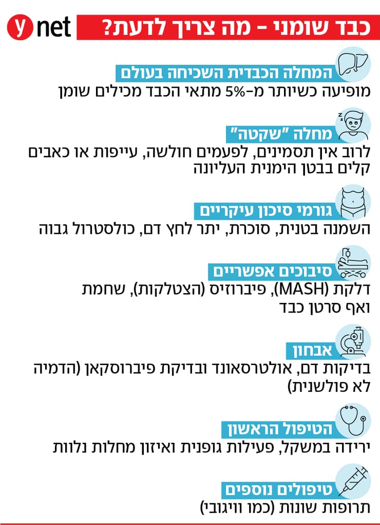 אינפו כבד שומני