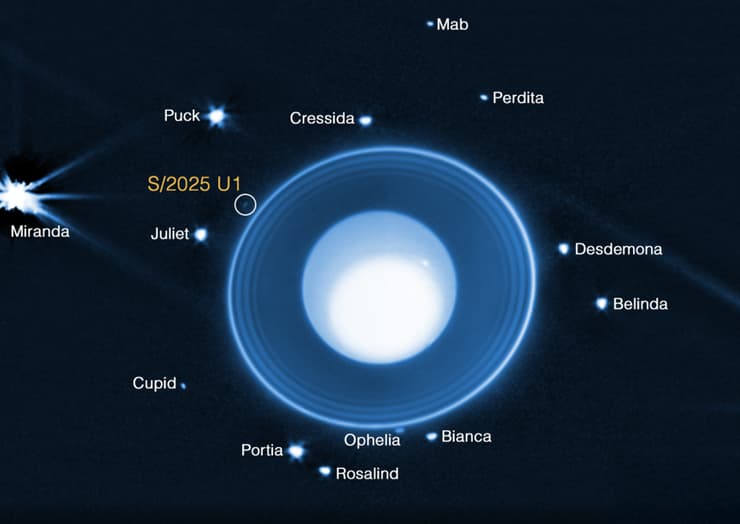 סלע בקוטר עשרה קילומטרים בלבד. מיקום הירח שהתגלה סביב אורנוס, סמוך לטבעות של כוכב הלכת, בצילום תת-אדום של טלסקופ החלל ג'יימס וווב