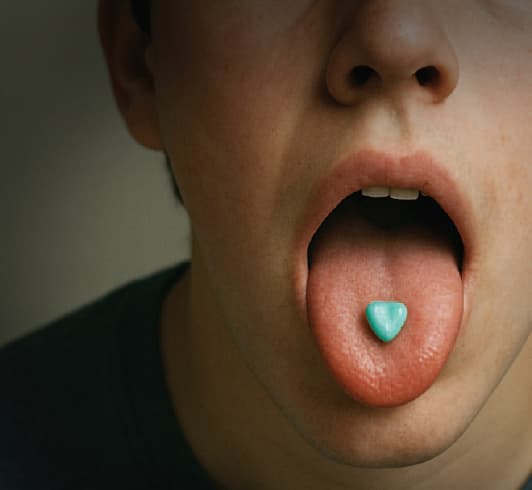 איור: לביאה טושינסקי                       