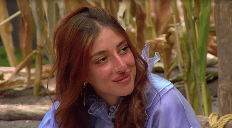 מתוך "האח הגדול"